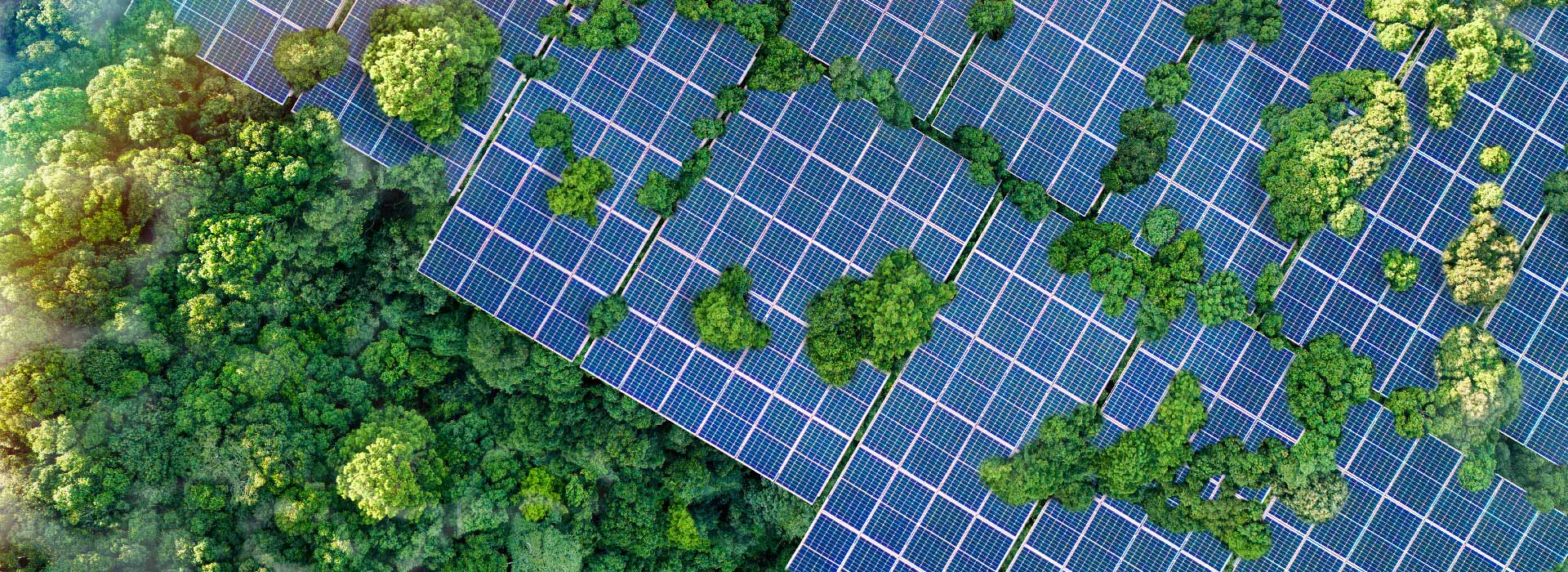 Alchemist Worldwide Ltd